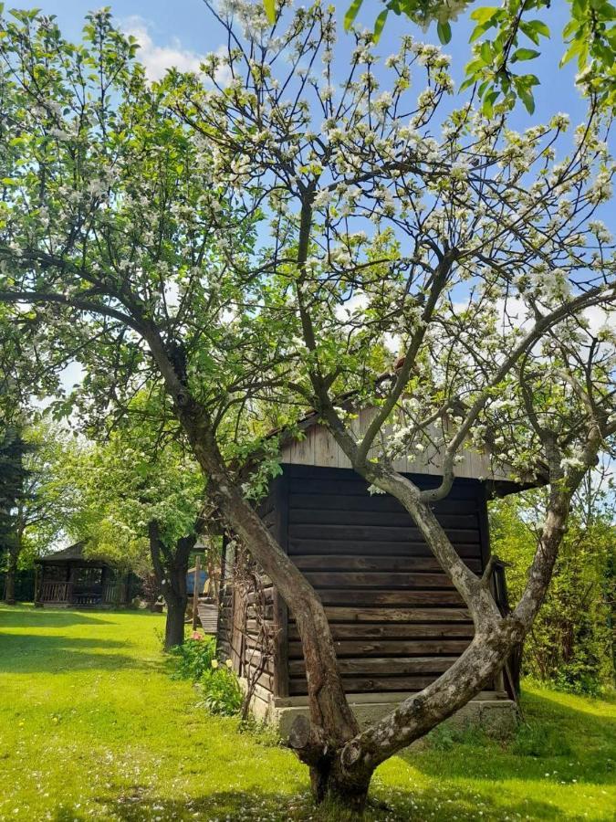 Agroturystyka Stokrotka Rymanów-Zdrój エクステリア 写真