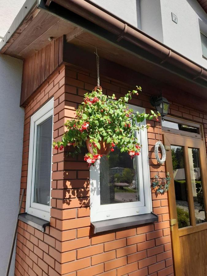 Agroturystyka Stokrotka Rymanów-Zdrój エクステリア 写真