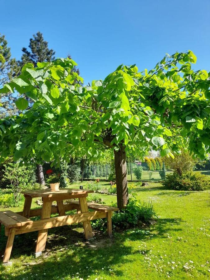 Agroturystyka Stokrotka Rymanów-Zdrój エクステリア 写真