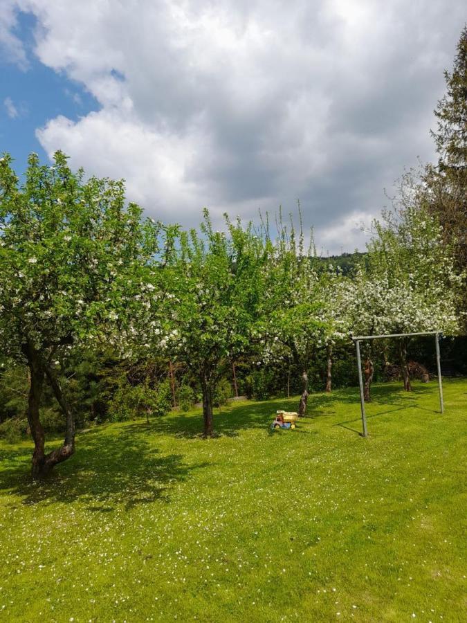 Agroturystyka Stokrotka Rymanów-Zdrój エクステリア 写真