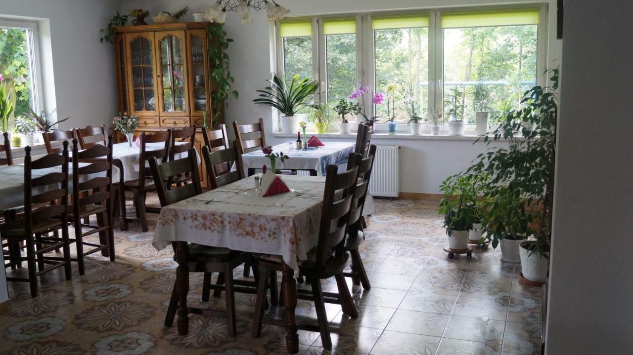 Agroturystyka Stokrotka Rymanów-Zdrój エクステリア 写真